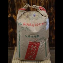 新潟県産　　特別栽培米　こしひかり