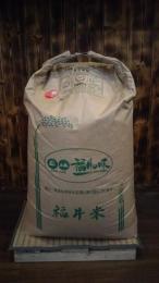 福井県　特別栽培米　いちほまれ
